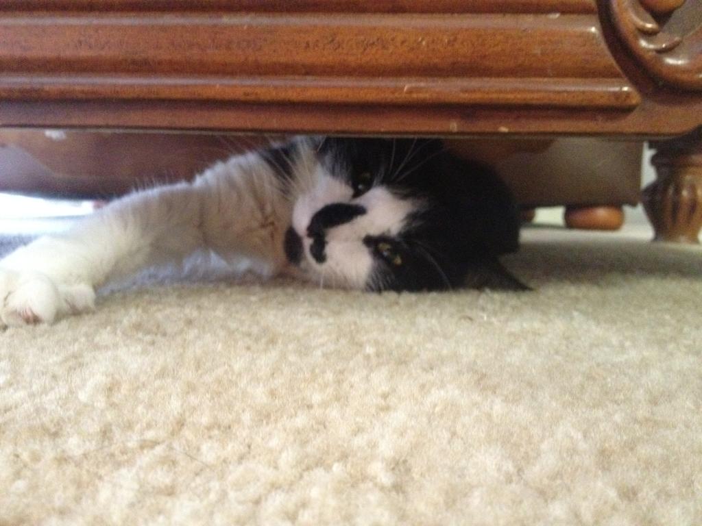 bed bench press