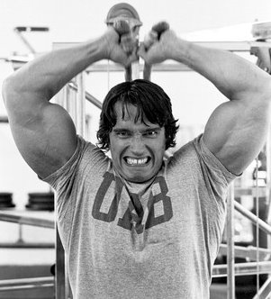 Arnold Schwarzenegger Workout