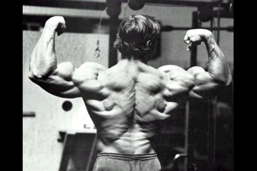 Arnold Schwarzenegger Workout